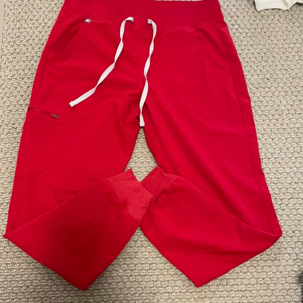 LIMITED EDITION Figs (Zamora Joggers) size Medium